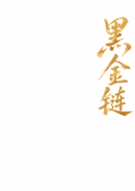 黑金链条轻奢包